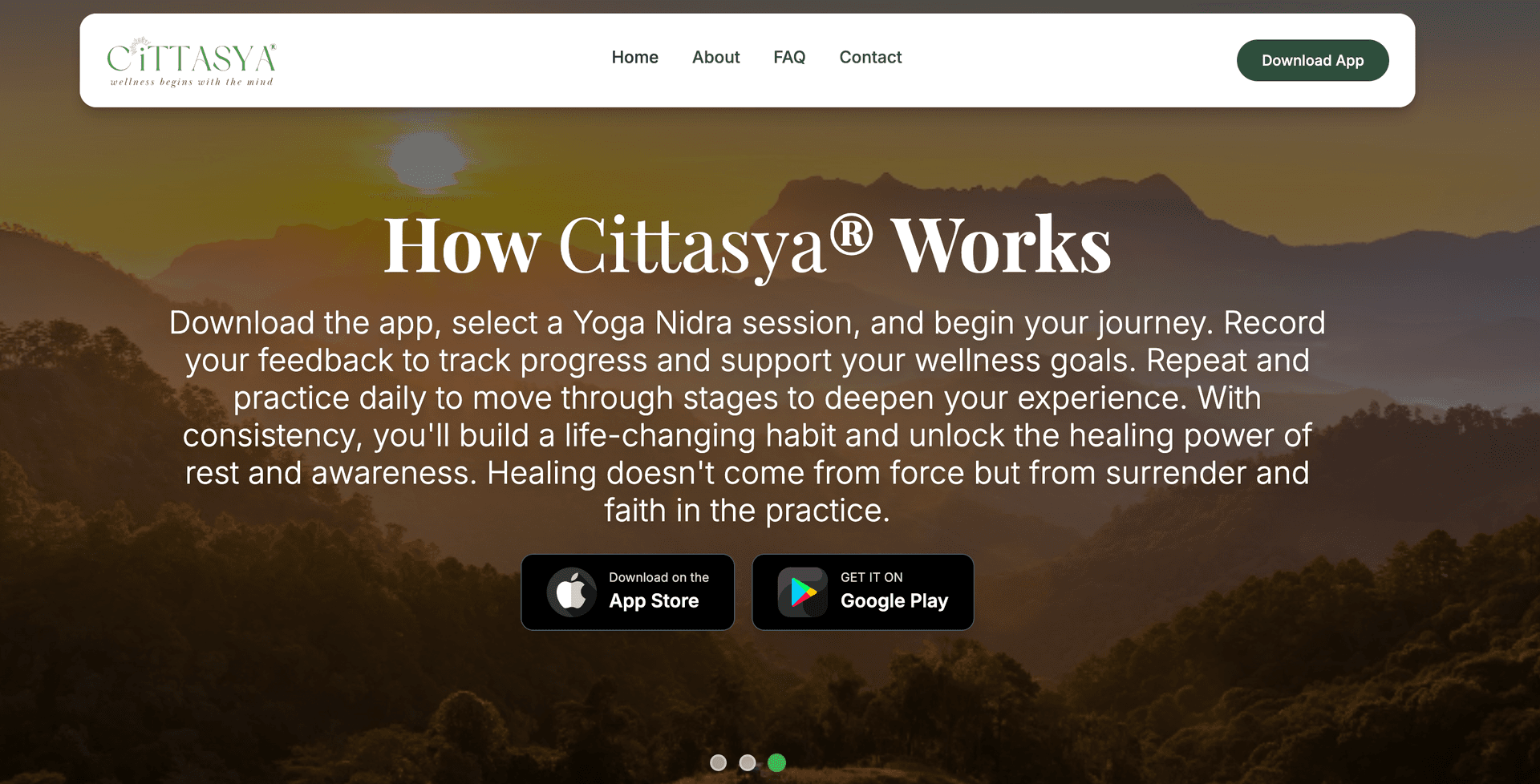 Cittasya — Niravana case study